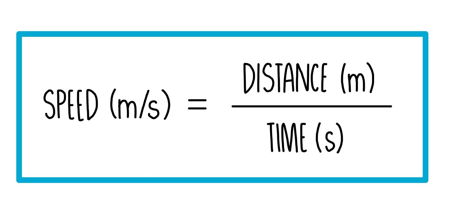 Speed and velocity (GCSE) — the science hive