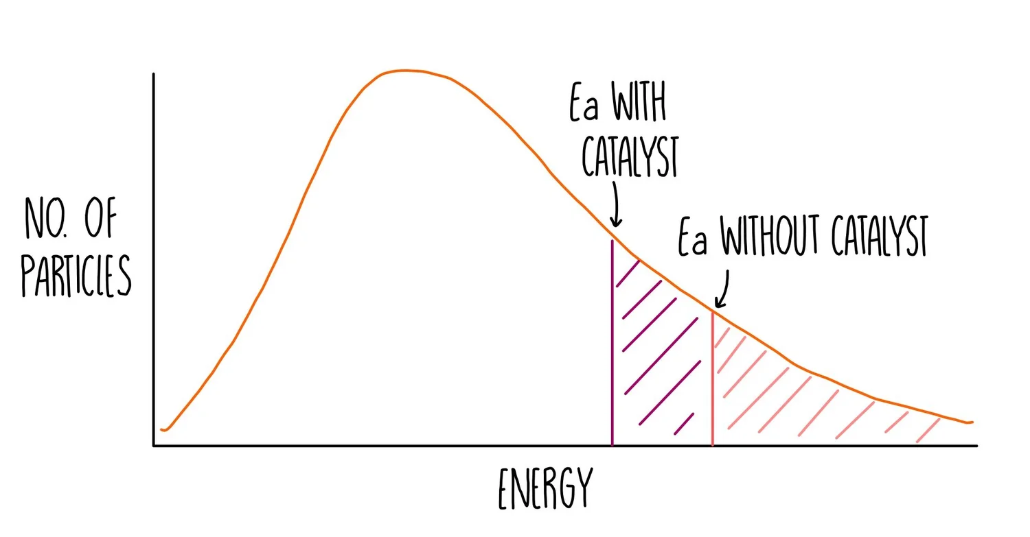 Reaction Rates* — the science sauce