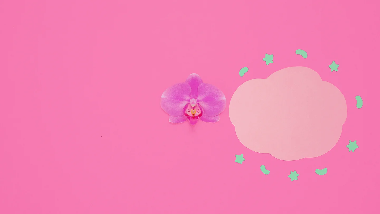 Vagisan_Stop_Motion_Animation_Advert_Lactic_Acid_George_Fairbairn_Photography_Photographer_3.jpg