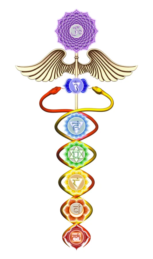 kundalini.jpg