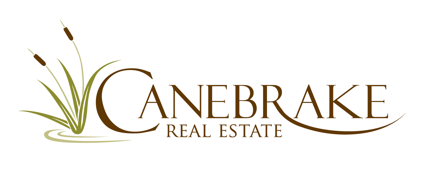 Real Estate Live Play Belong