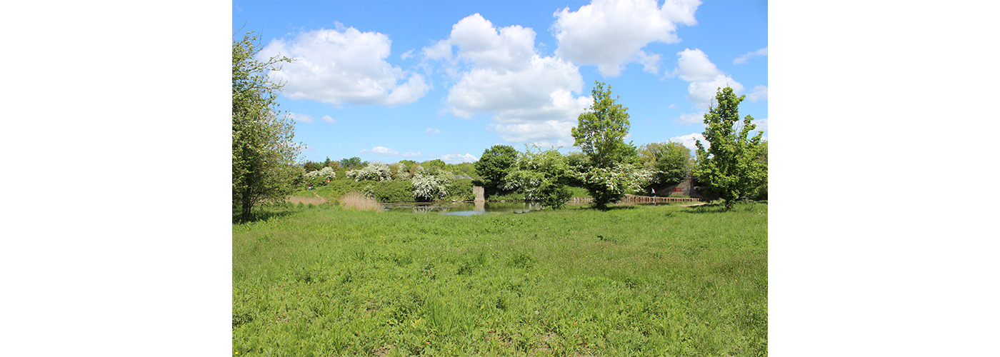 Pritchard-Architecture-Hilsea-6.jpg