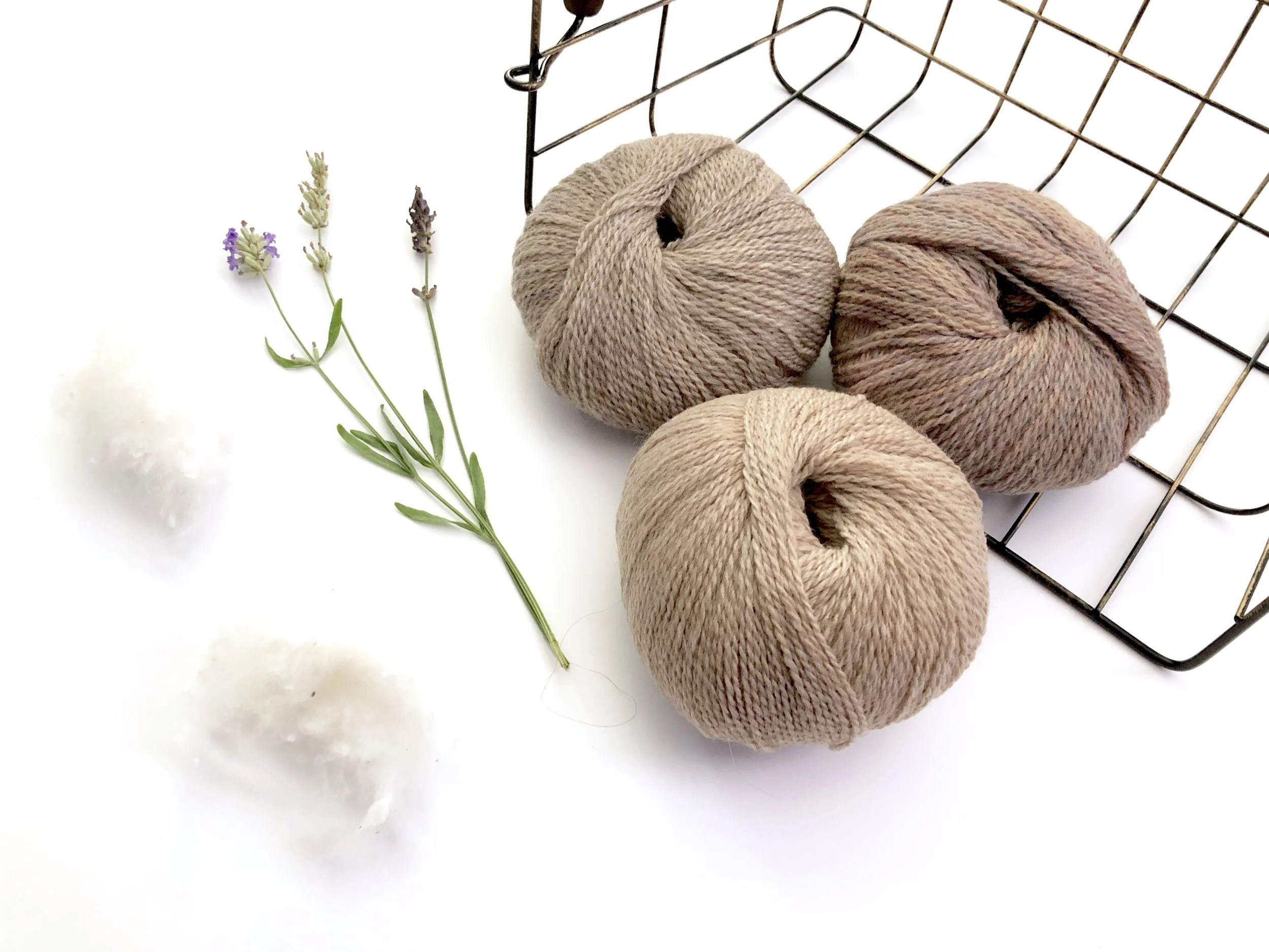 01164DA6-1FE4-4F82-AC75-7F2FFDD3E977