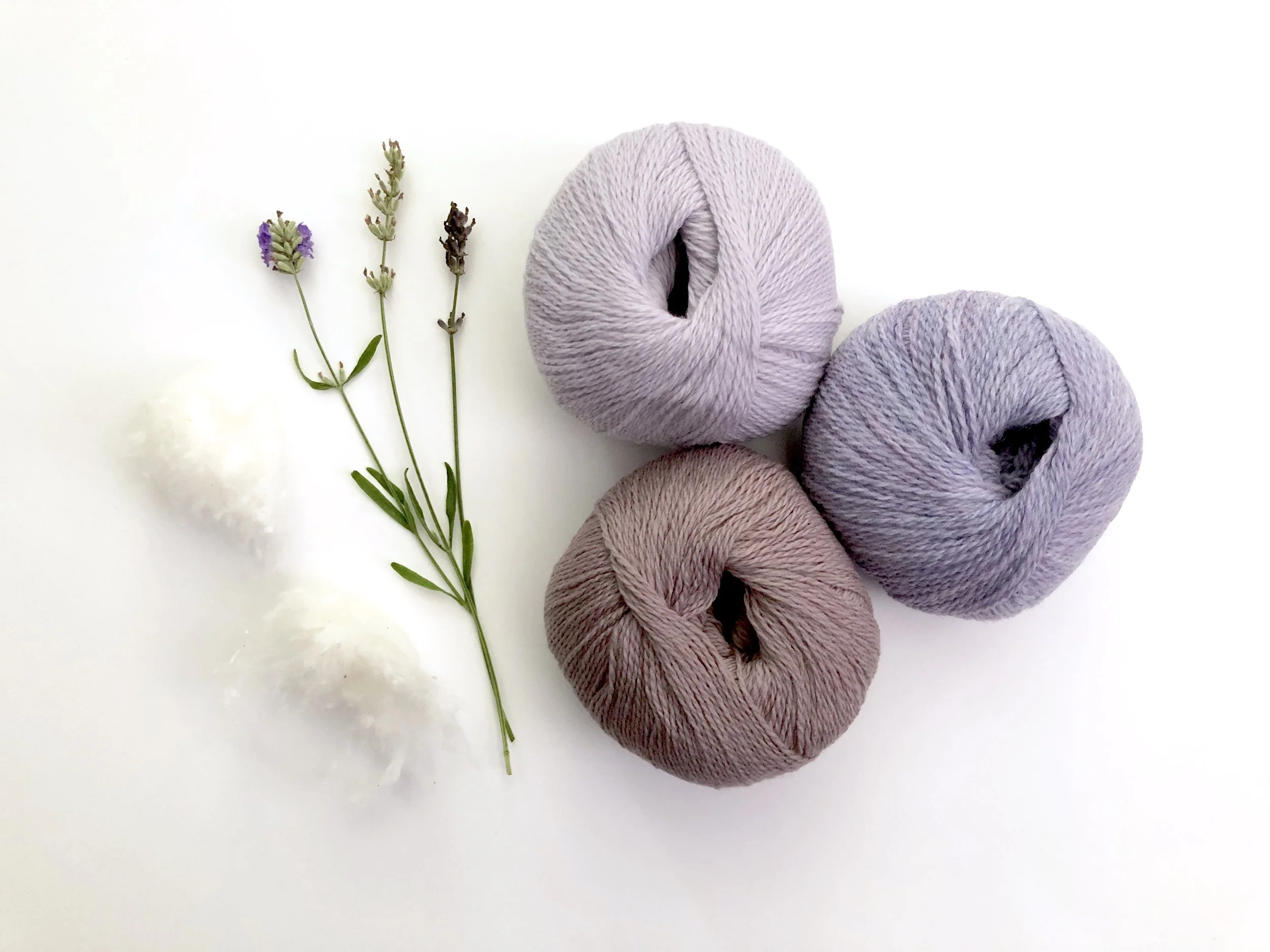 22C13425-A387-439B-ABD9-361B25F80BEC