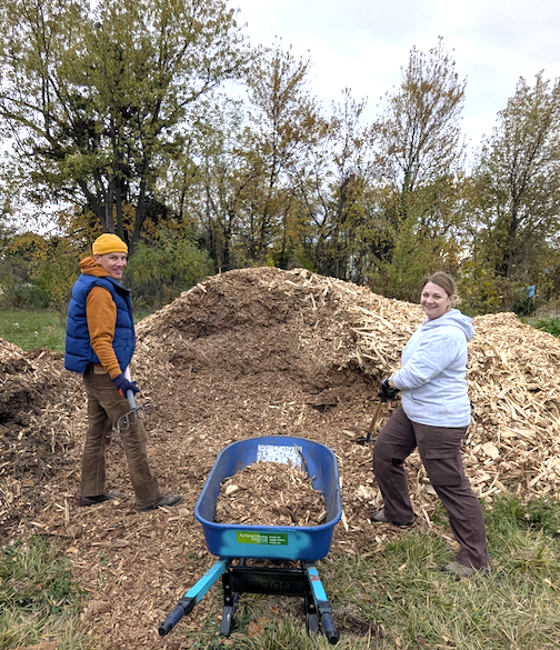 WoodChips.png