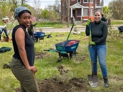 Filter Forest Tree Planting