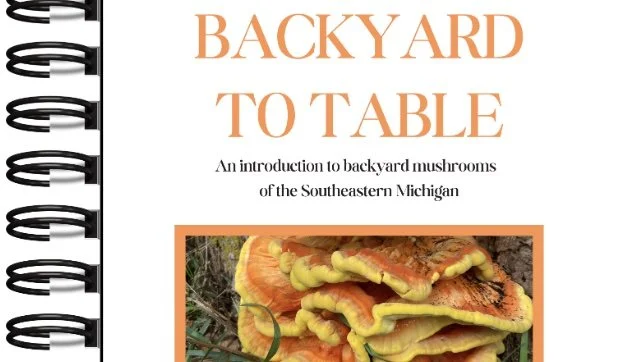 Backyard Mushrooms