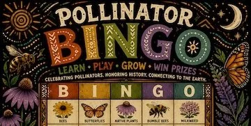 Pollinator Bingo: Learn, Play &amp; Win Prizes!
