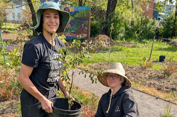 Win Win Tree Planting and Pickup