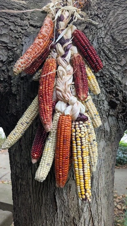 Hominy workshop