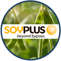 SoyPlus®