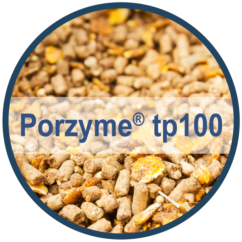 HCI_website-productthumbimage-porzyme.png