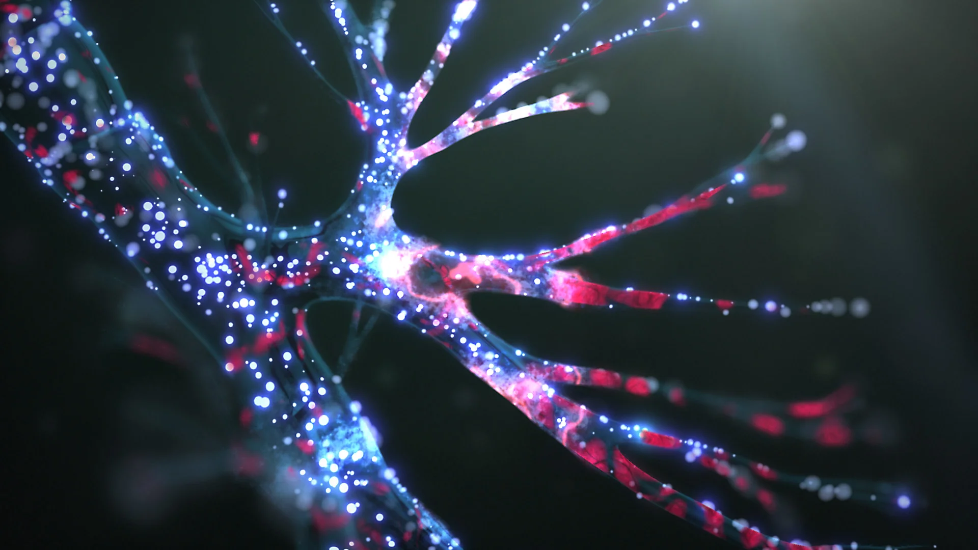 Alvesco // How It Works