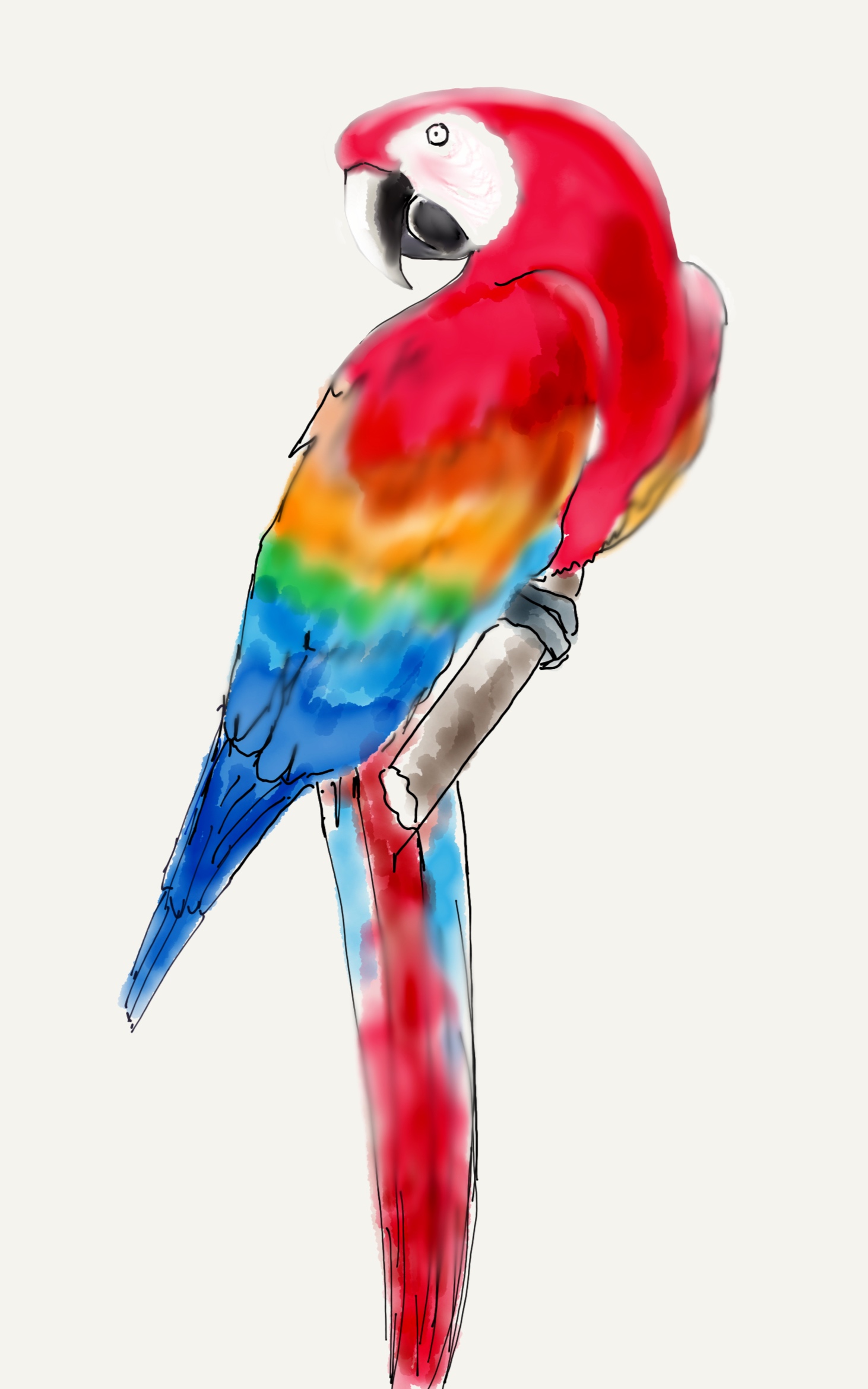 Paper.Art Practice.30.png