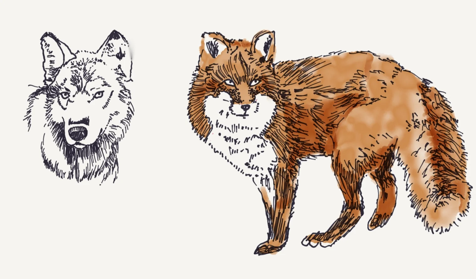 Paper.Nightly accomplishment.11.png