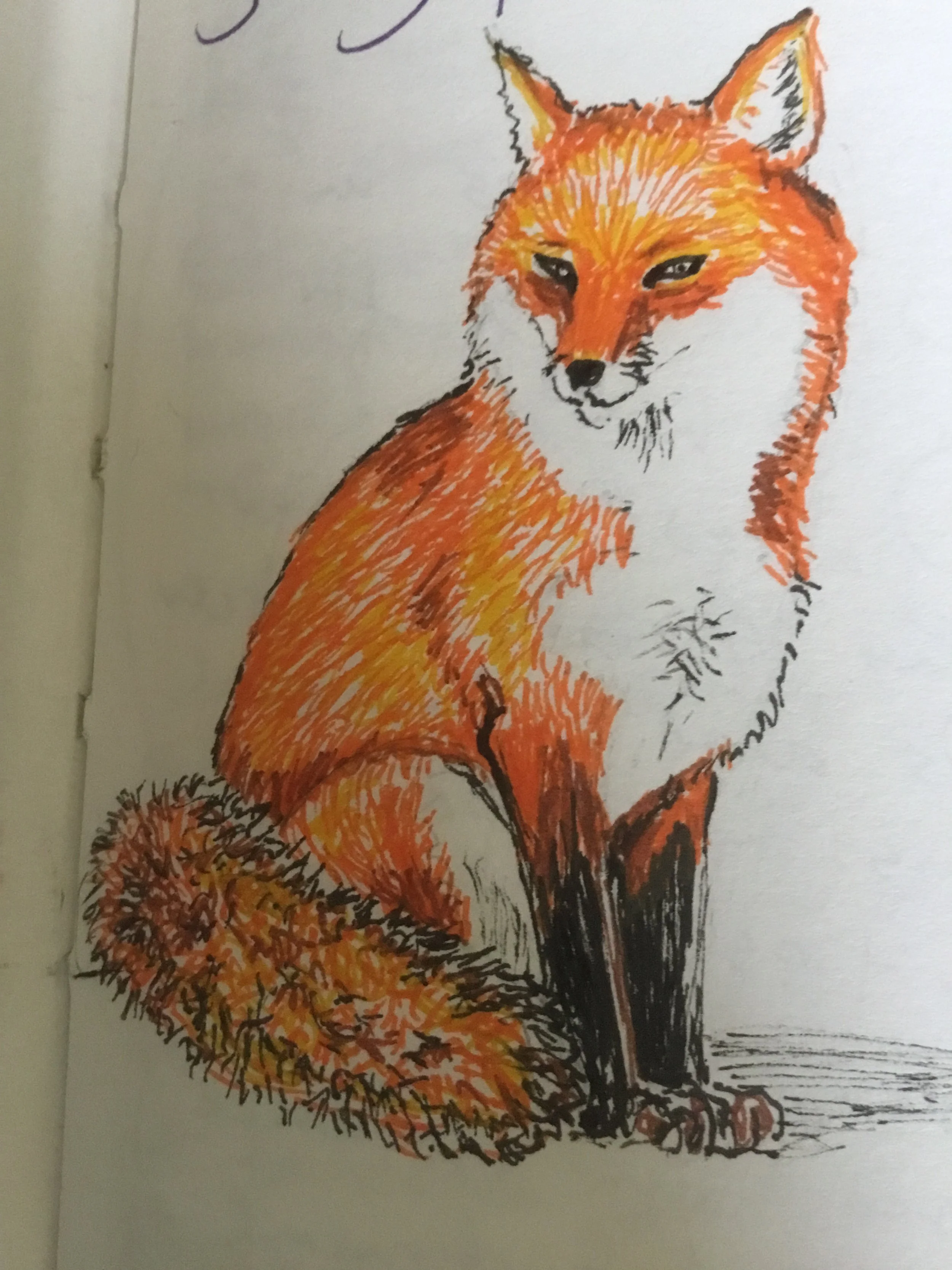 The Back to the Past Shop Fox