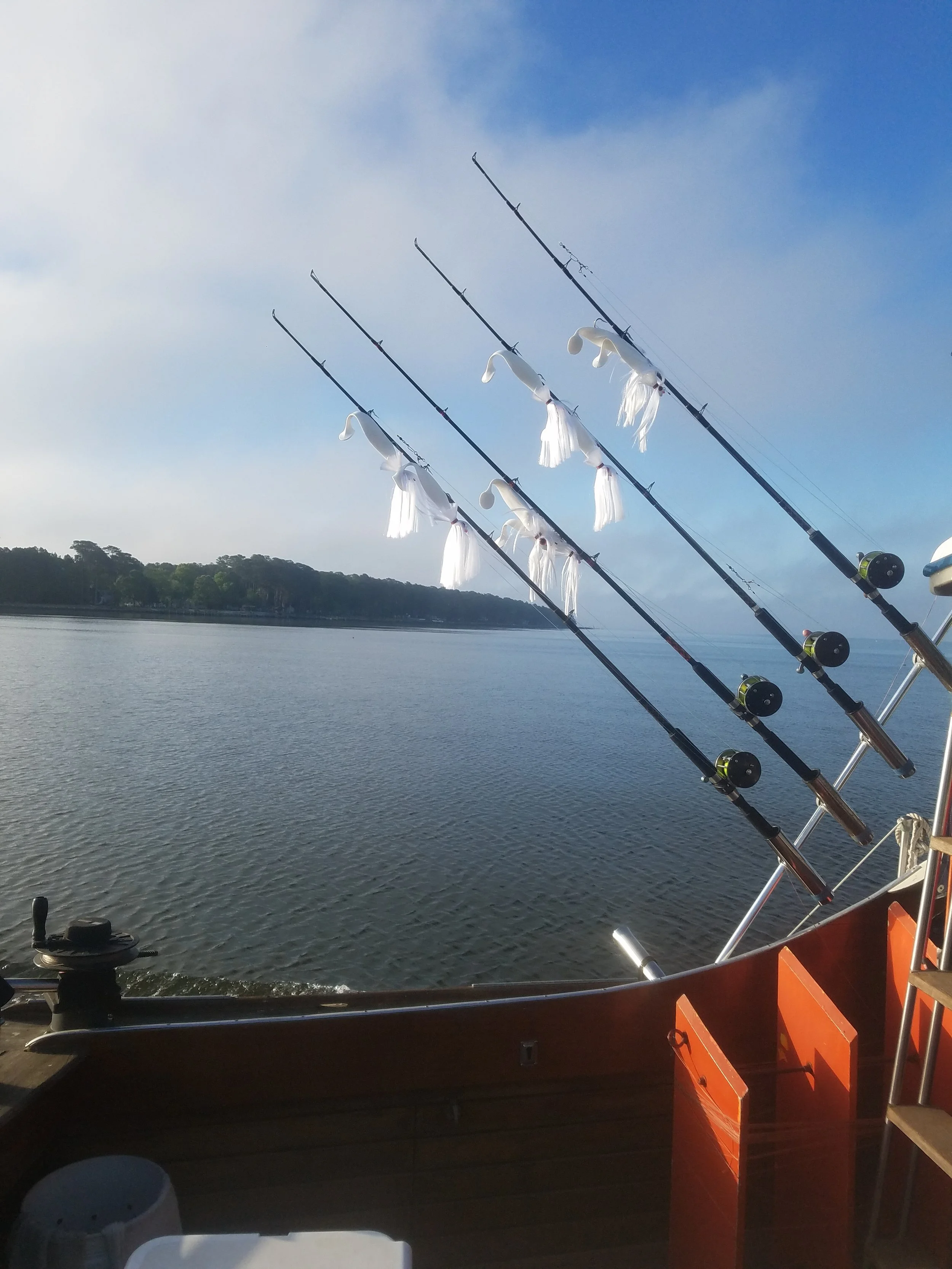20180509_072502.jpg