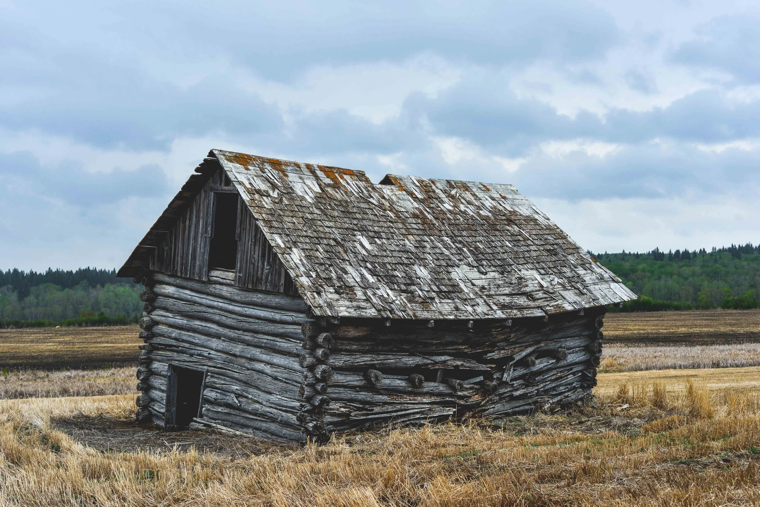 DSC_5987.jpg