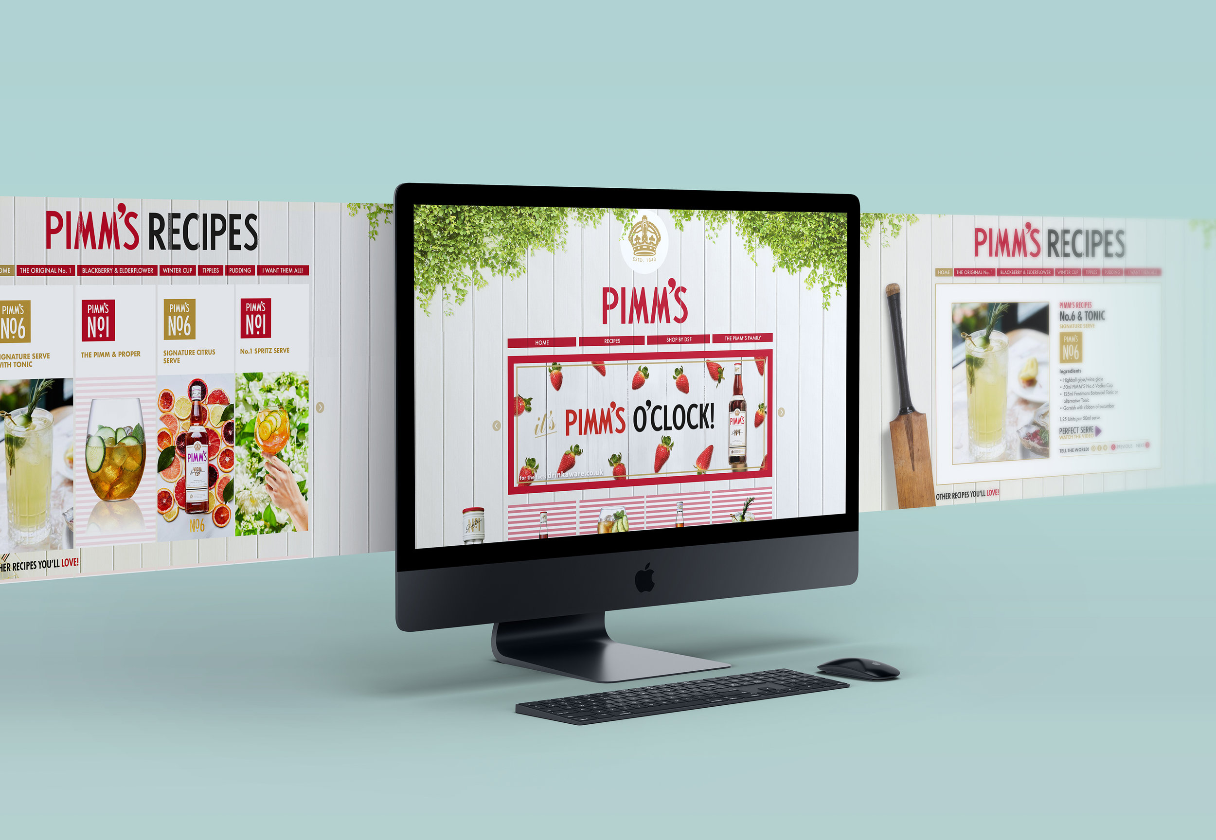 PIMMS 3.jpg