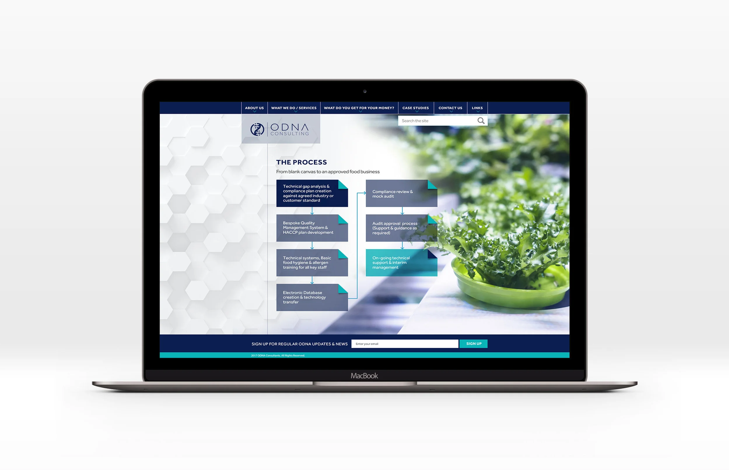 ODNA Macbook Mockup 4.jpg