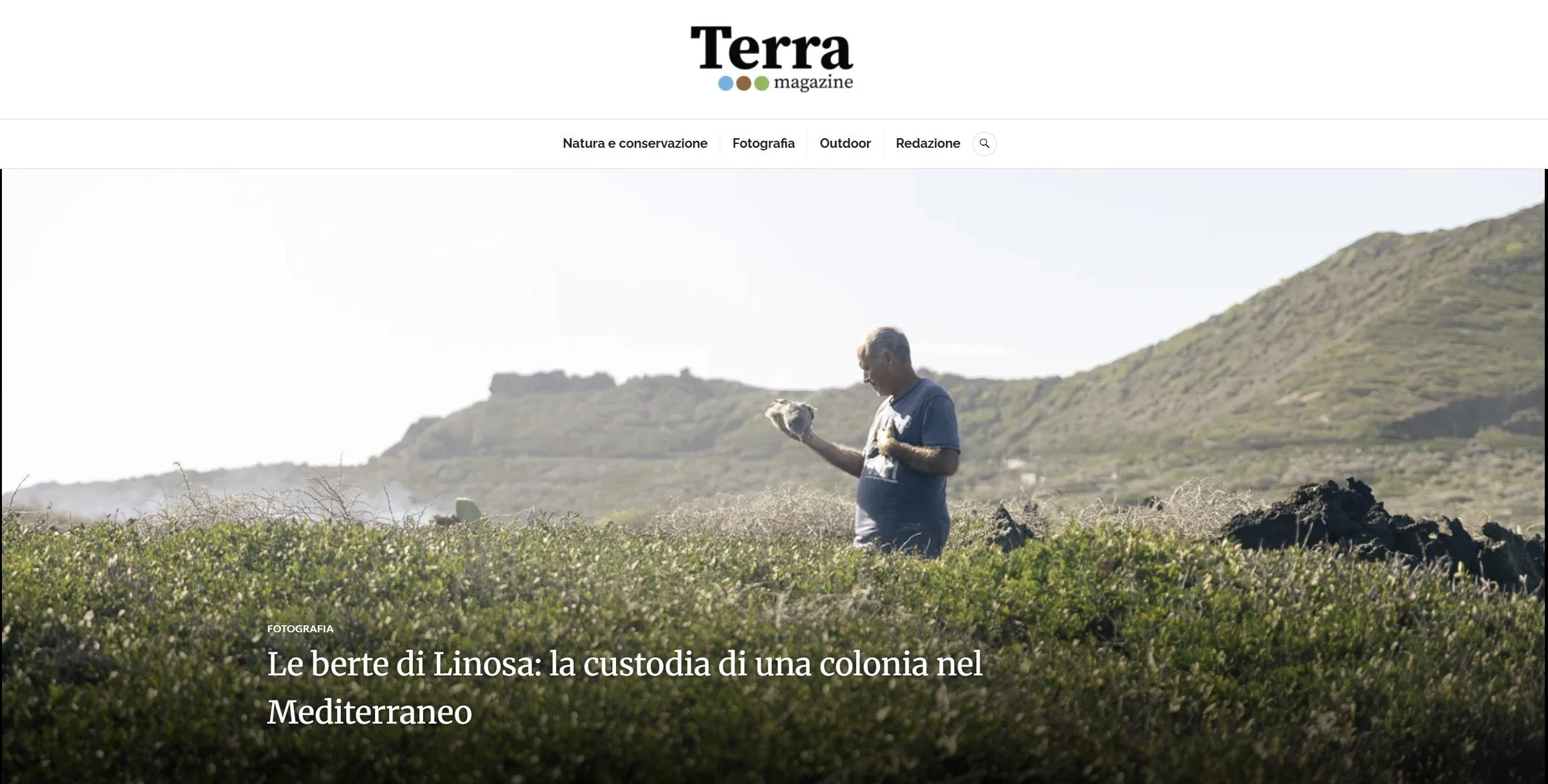 Terra_Berte_Tearsheet_1.jpg