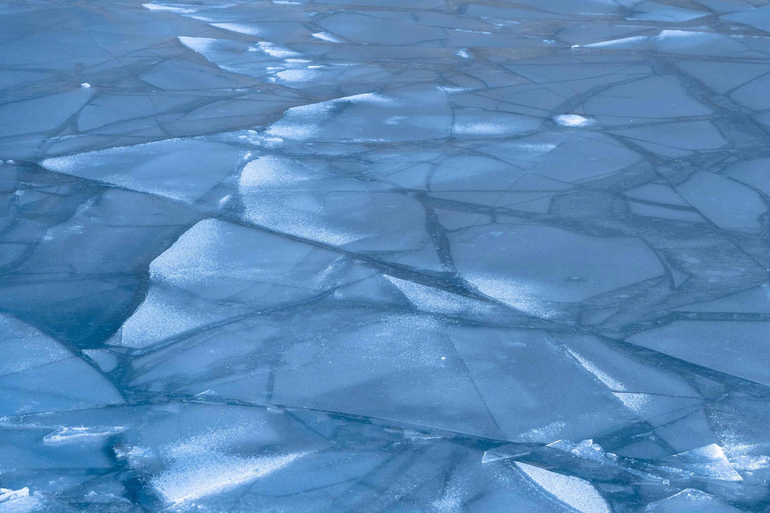 Rewoolution_AW2025_FG (180 di 317).jpg