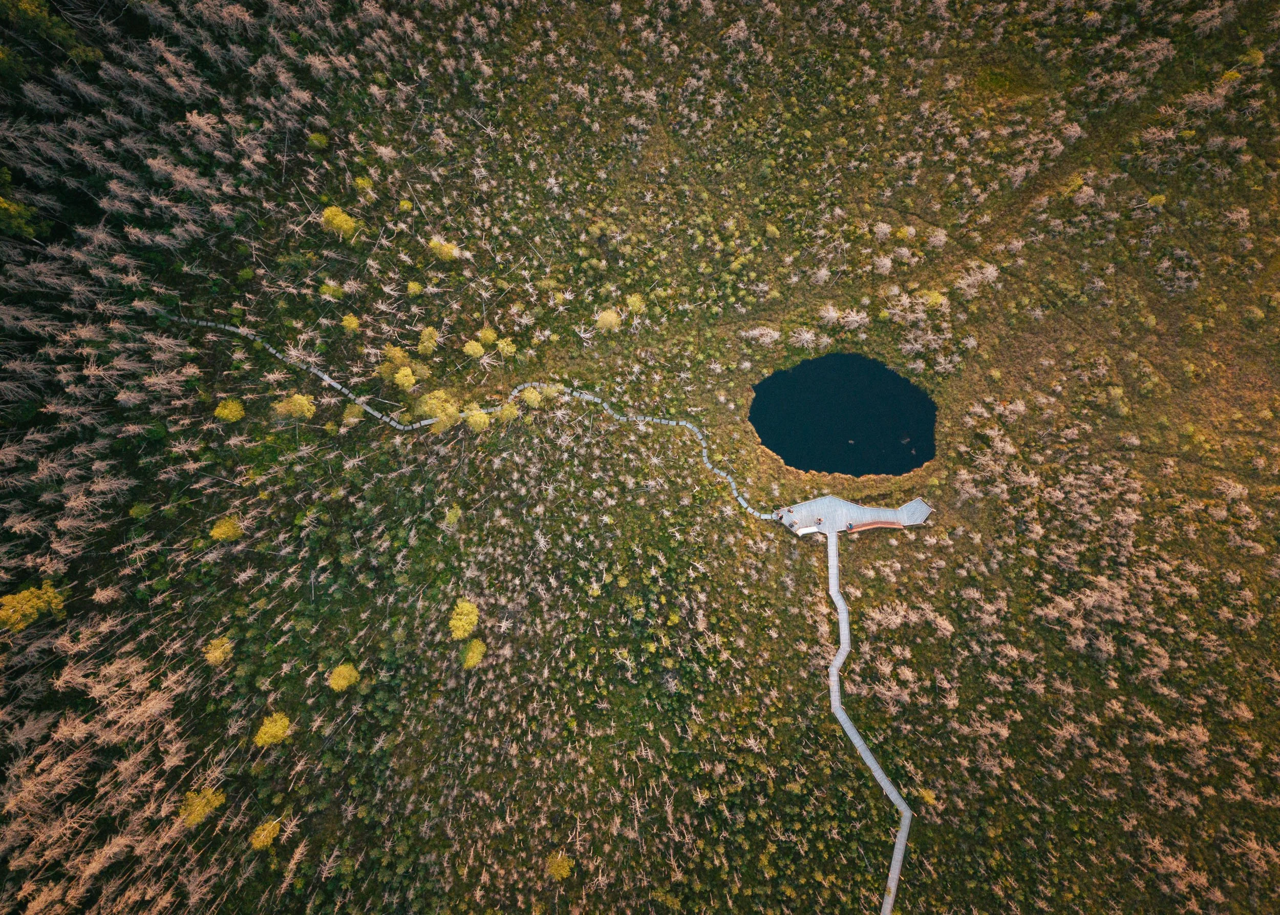 Carpathians_6_drone-1.jpg