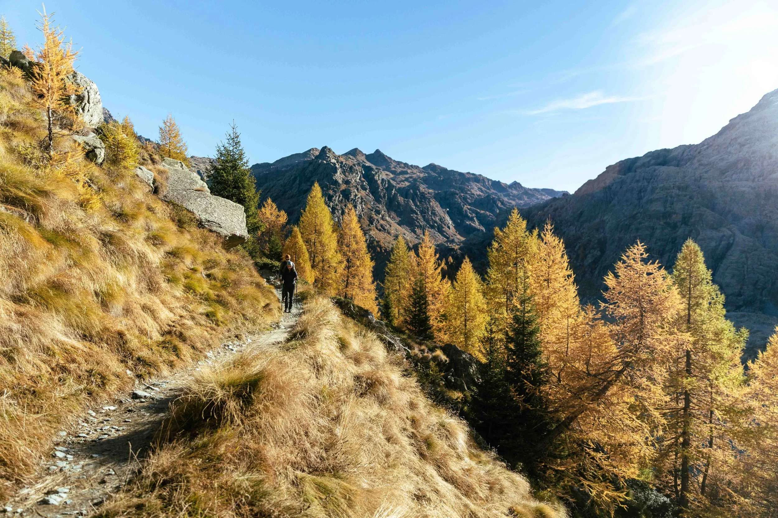 Rewoolution_AW2025_FG (4 di 317).jpg