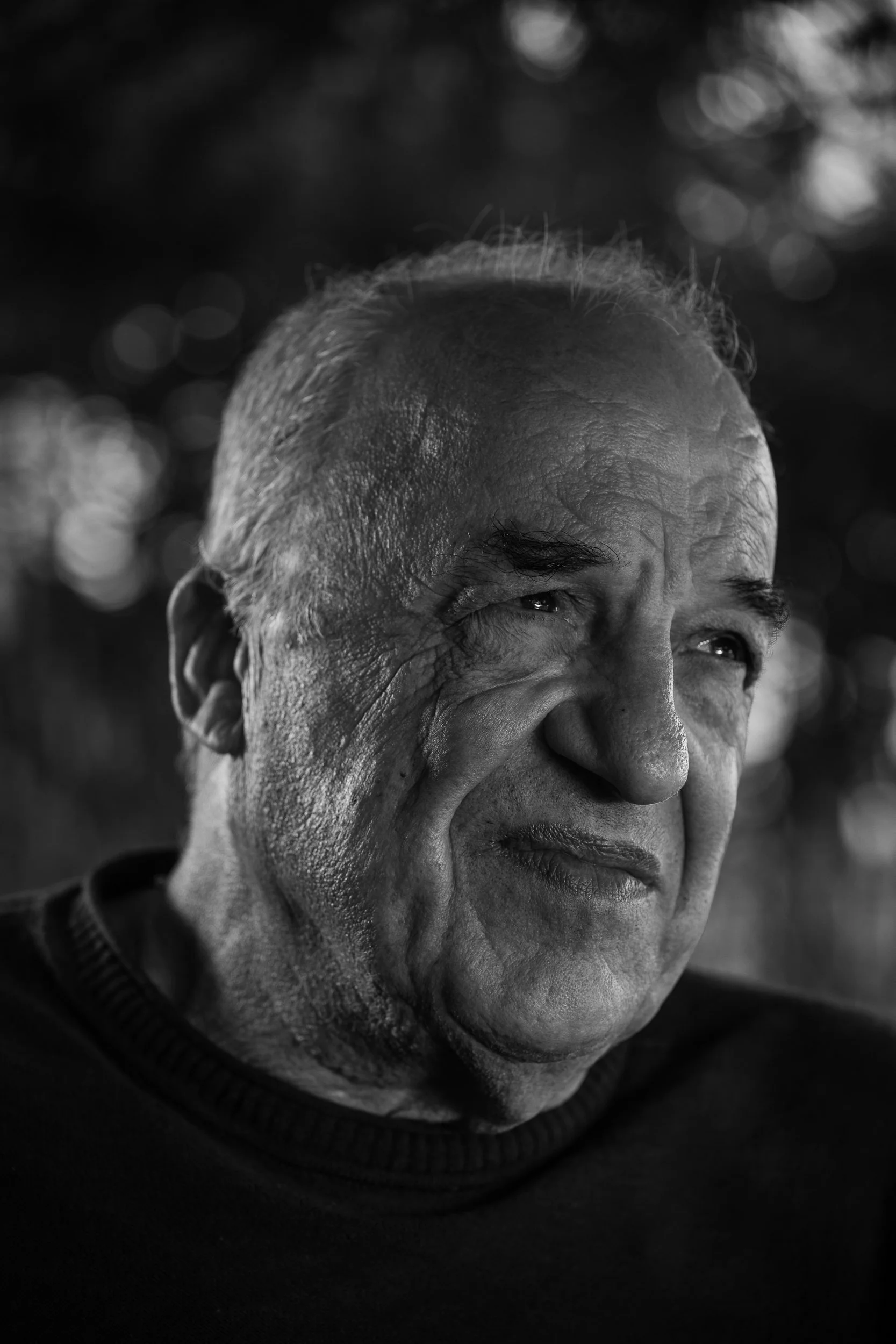 Piero Zambuto, artist