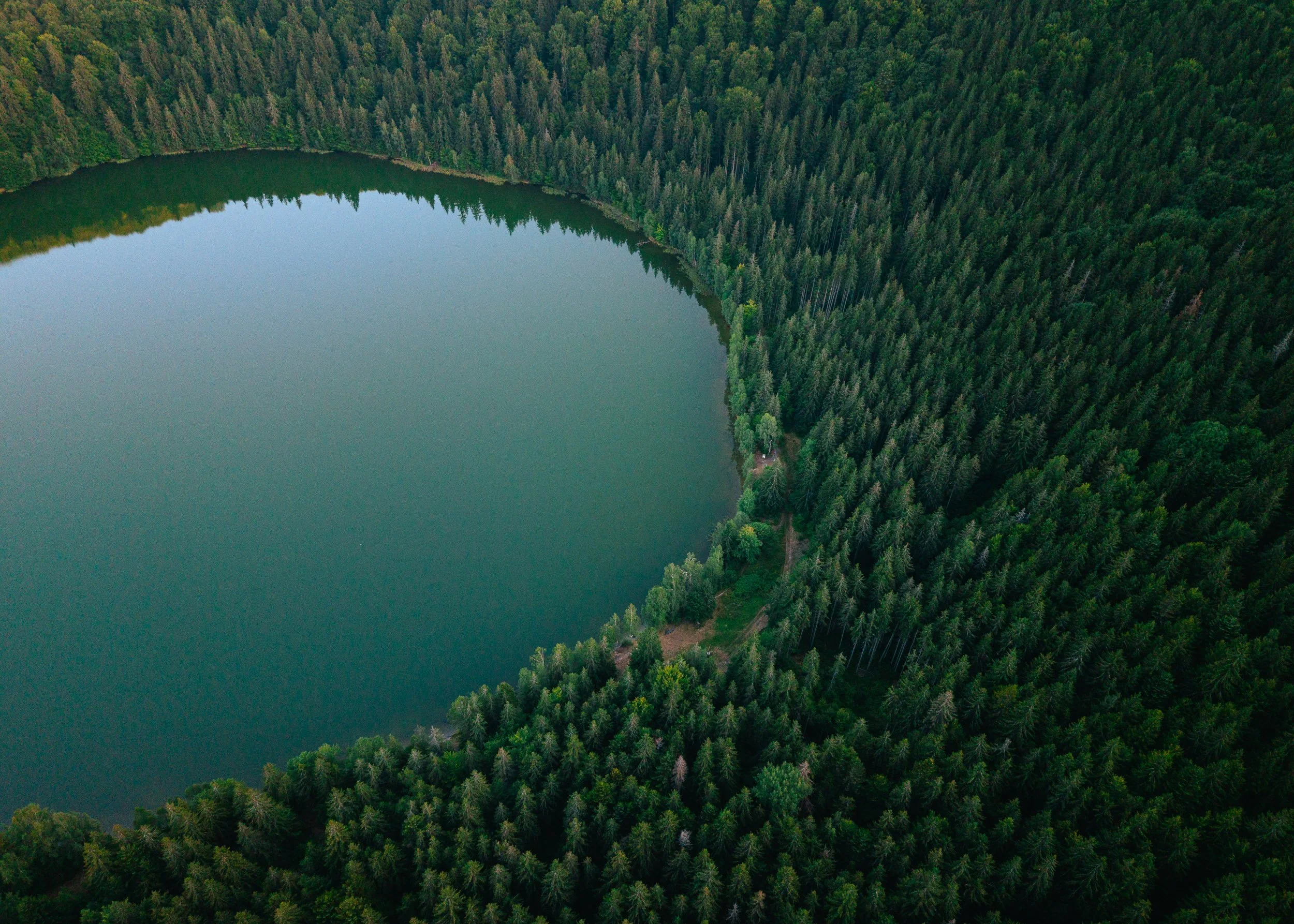 Carpathians_5_drone-2.jpg