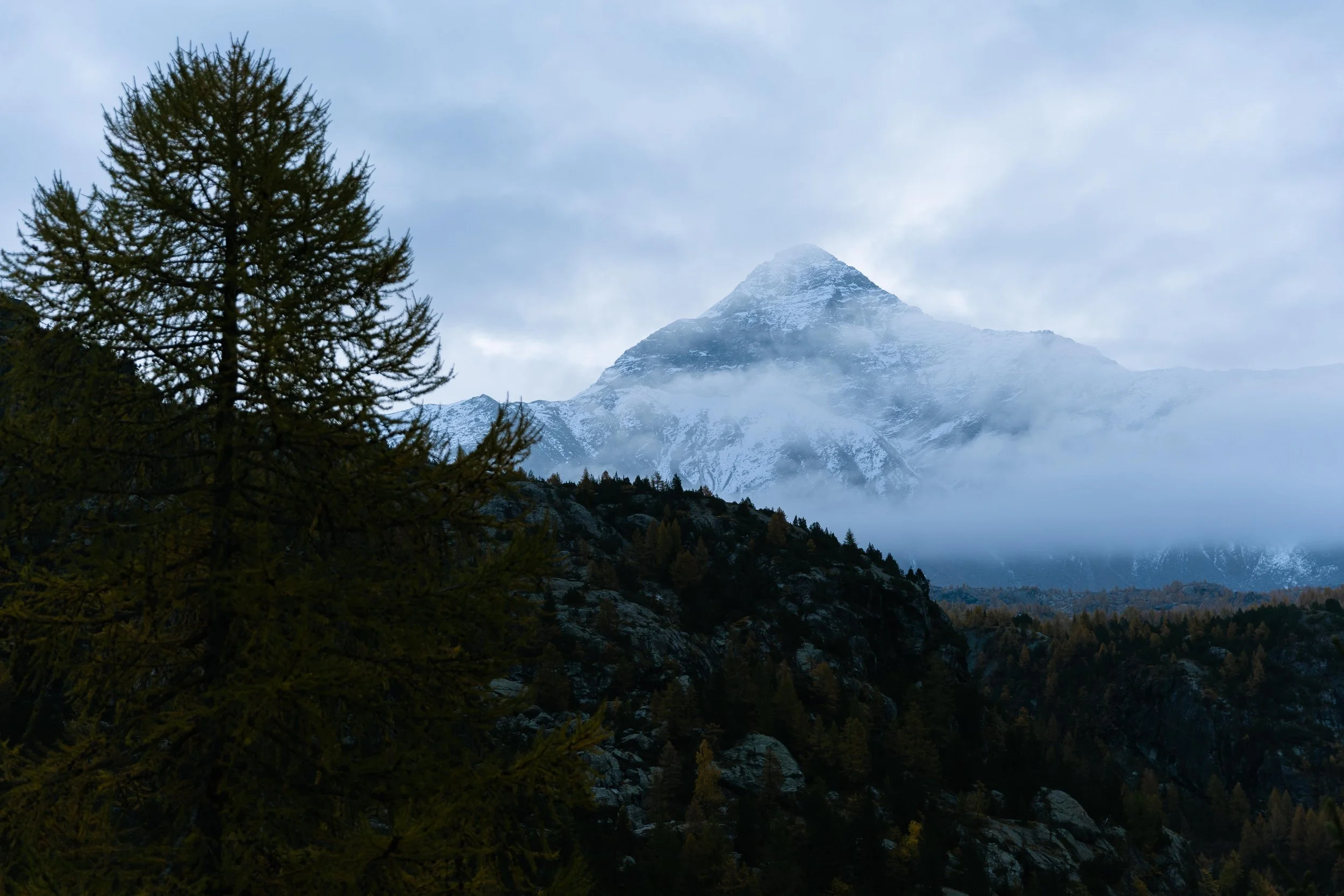 Rewoolution_AW2025_FG (299 di 317).jpg