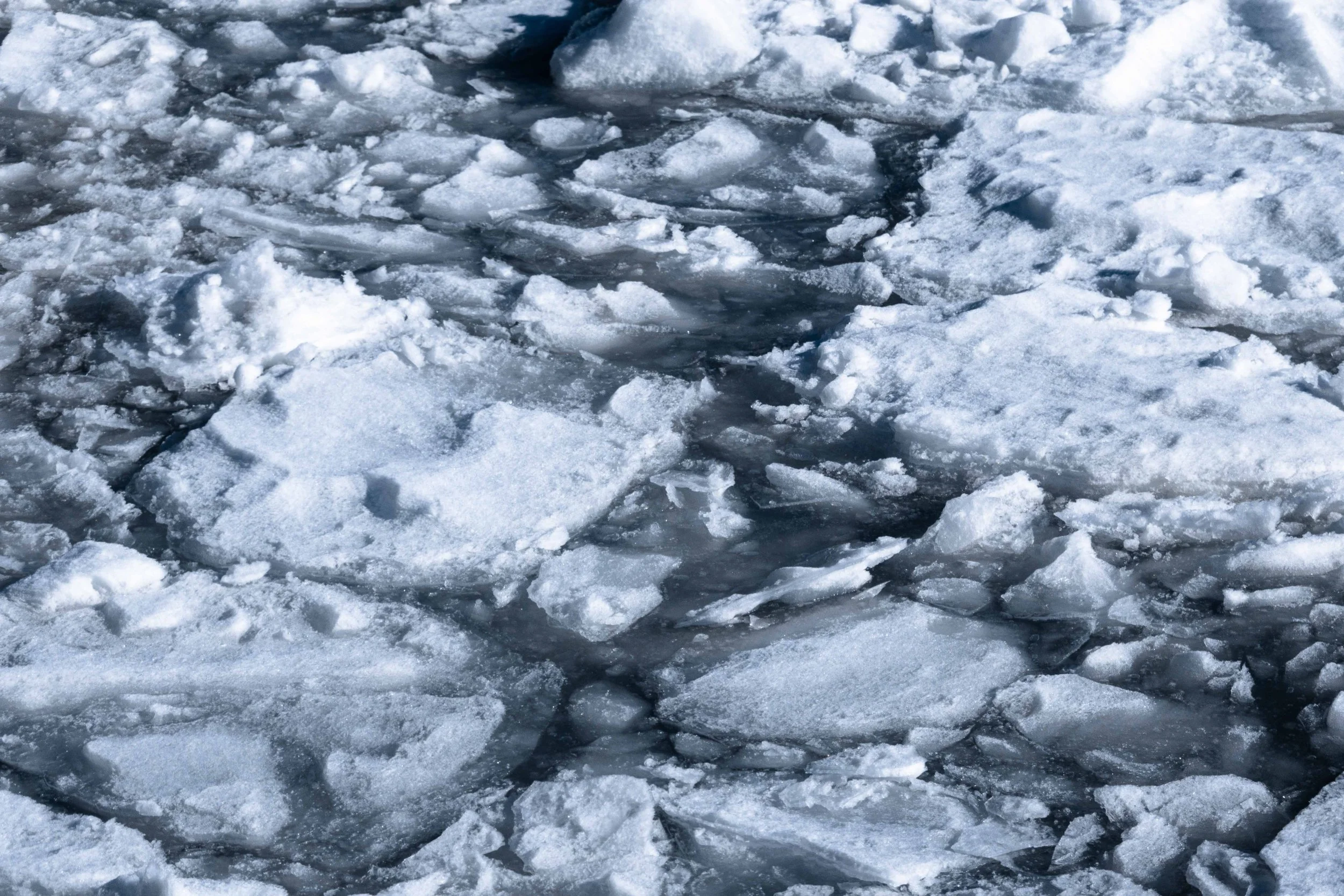 Rewoolution_AW2025_FG (90 di 317).jpg