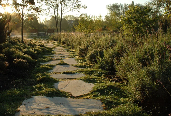 walkway.jpg