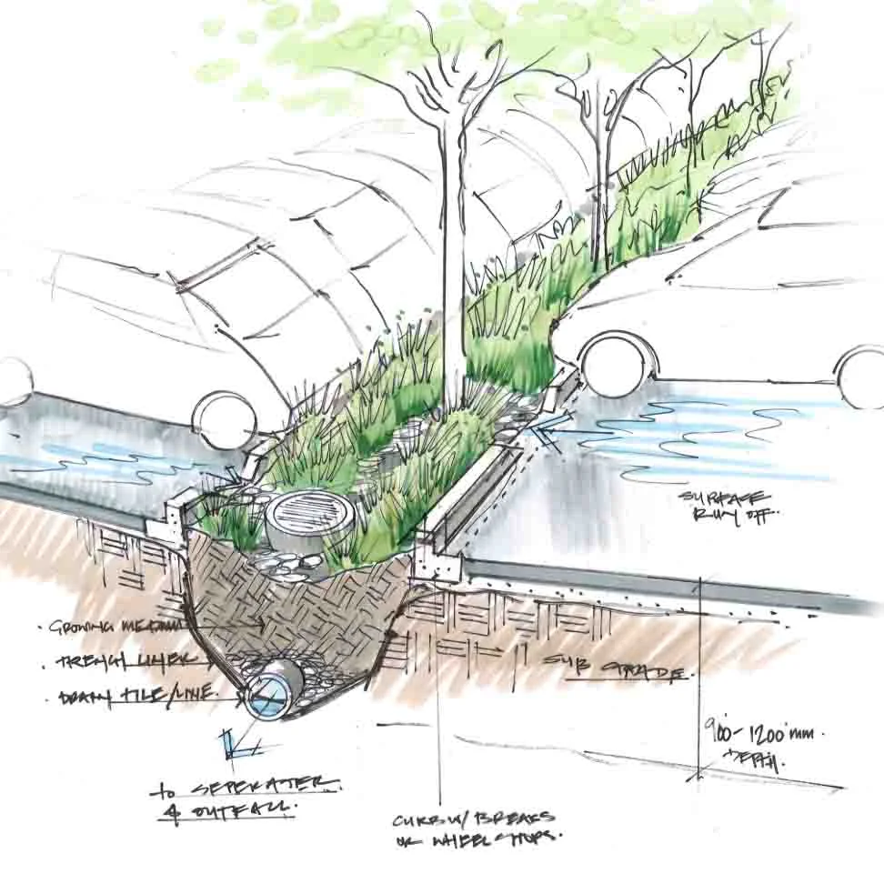 Untitled-1sketch swale.jpg