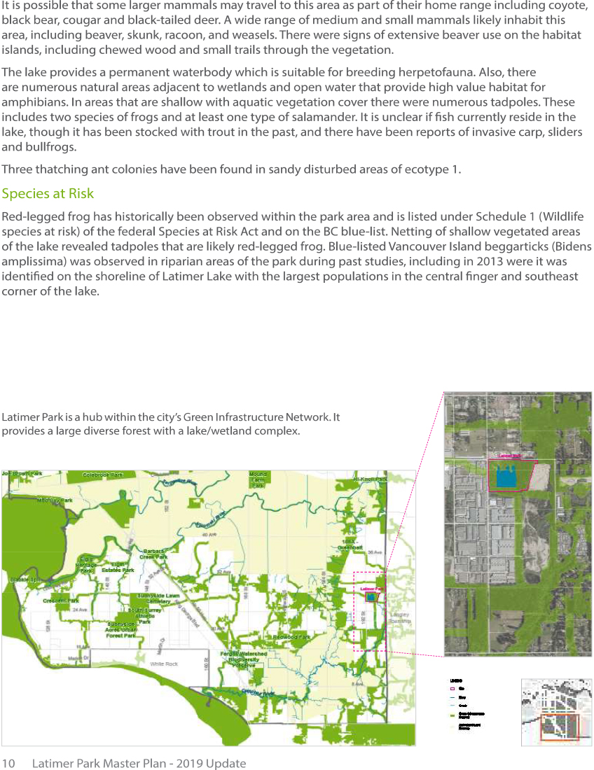 Latimer Park Draft Report-12.jpg