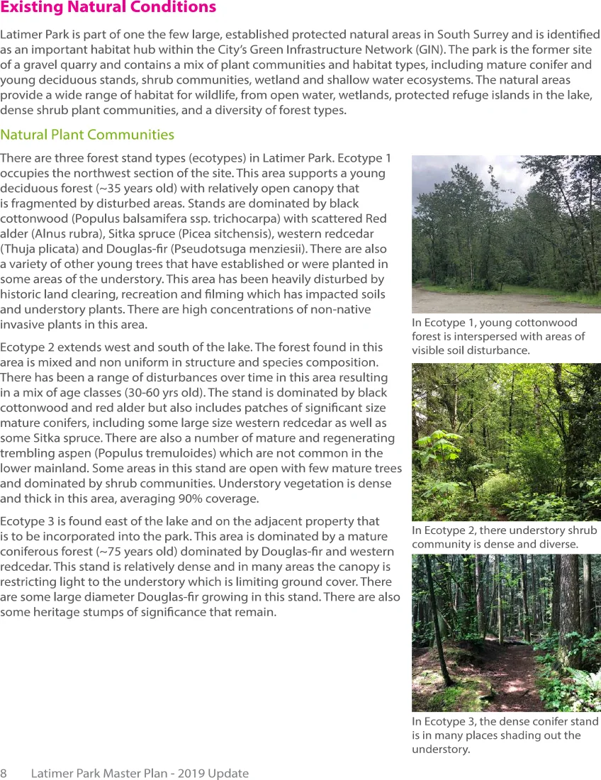 Latimer PArk Draft Report-10.jpg