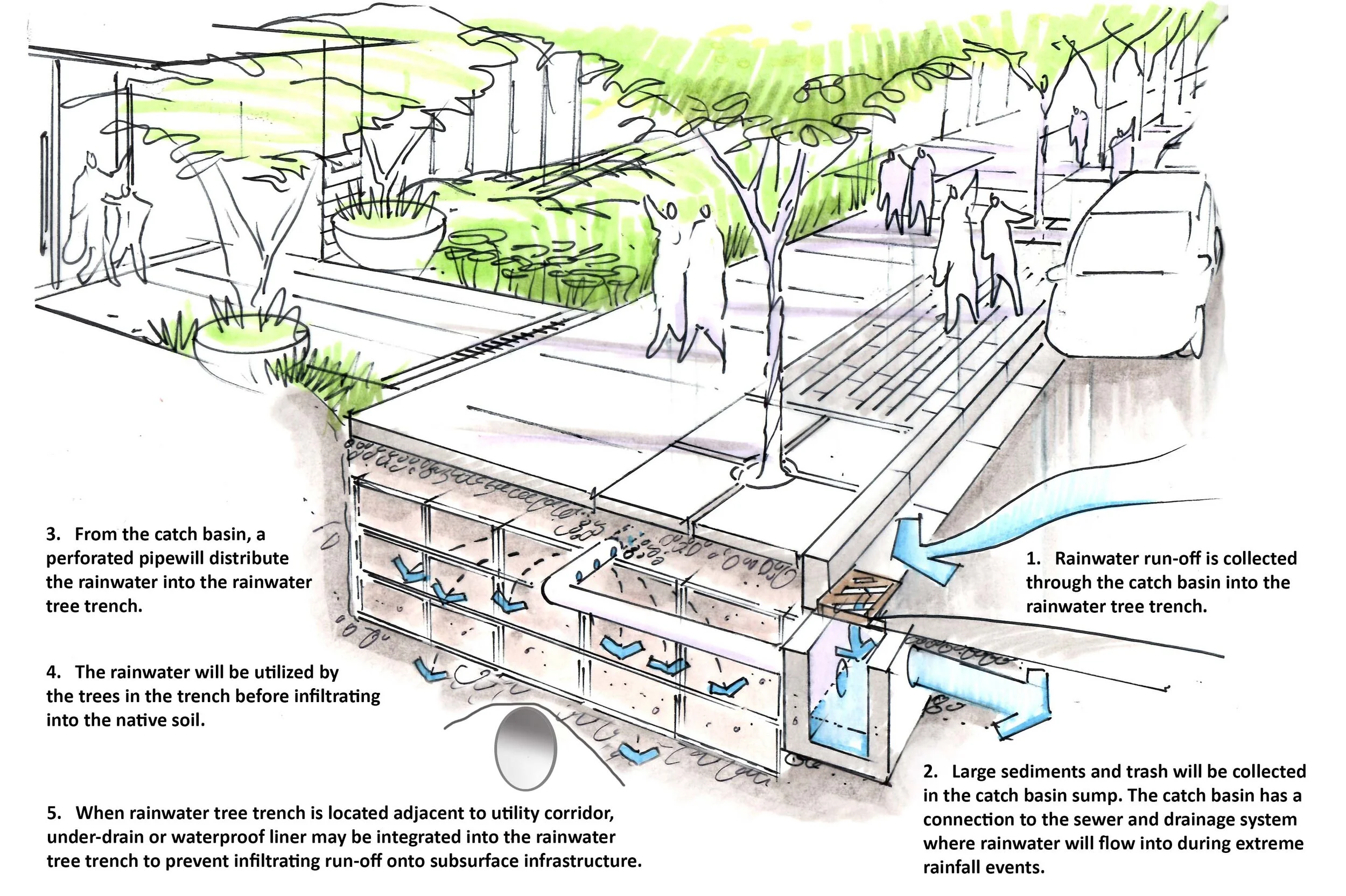 anno 11. rainwater tree trench.jpg