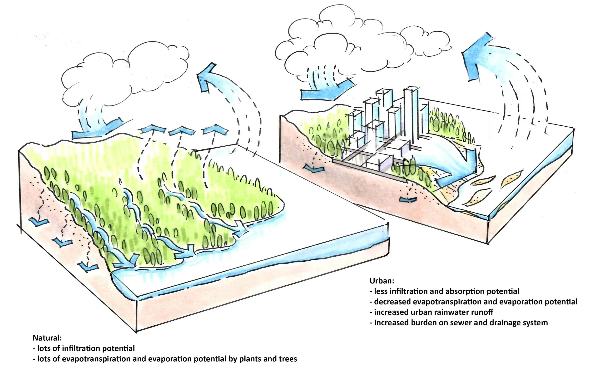 anno 5. water cycle_Urban vs Natural.jpg