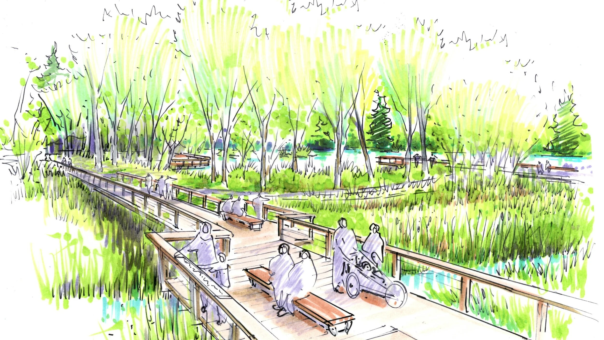 boardwalk_wetland.jpg