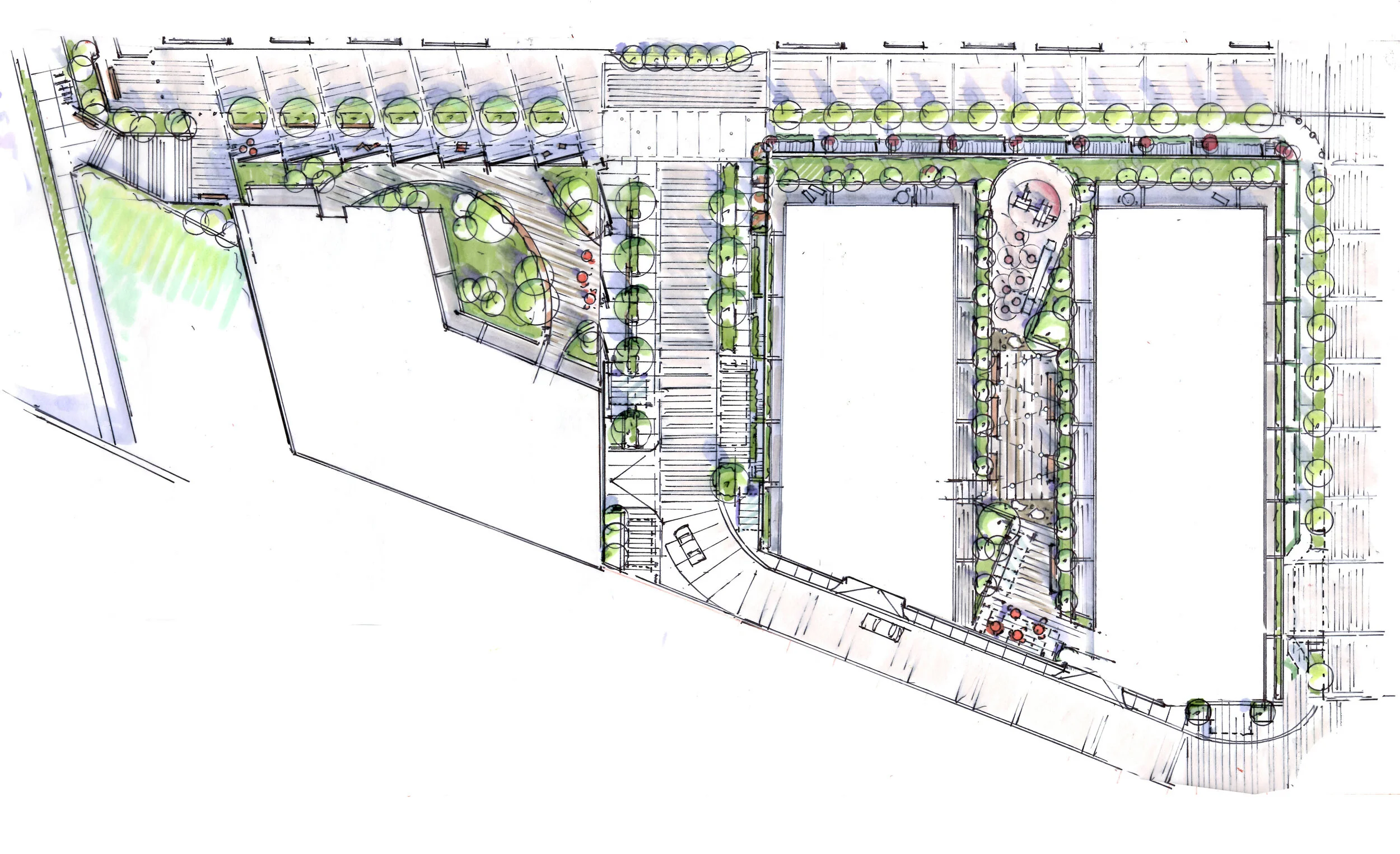 concept landscape plan.jpg