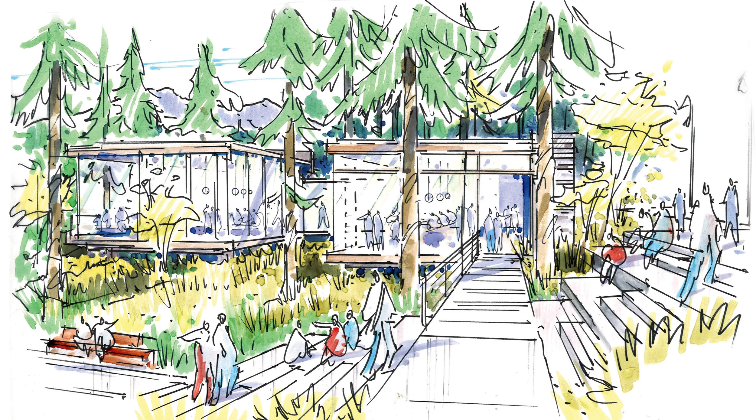 classes in the forrest.jpg