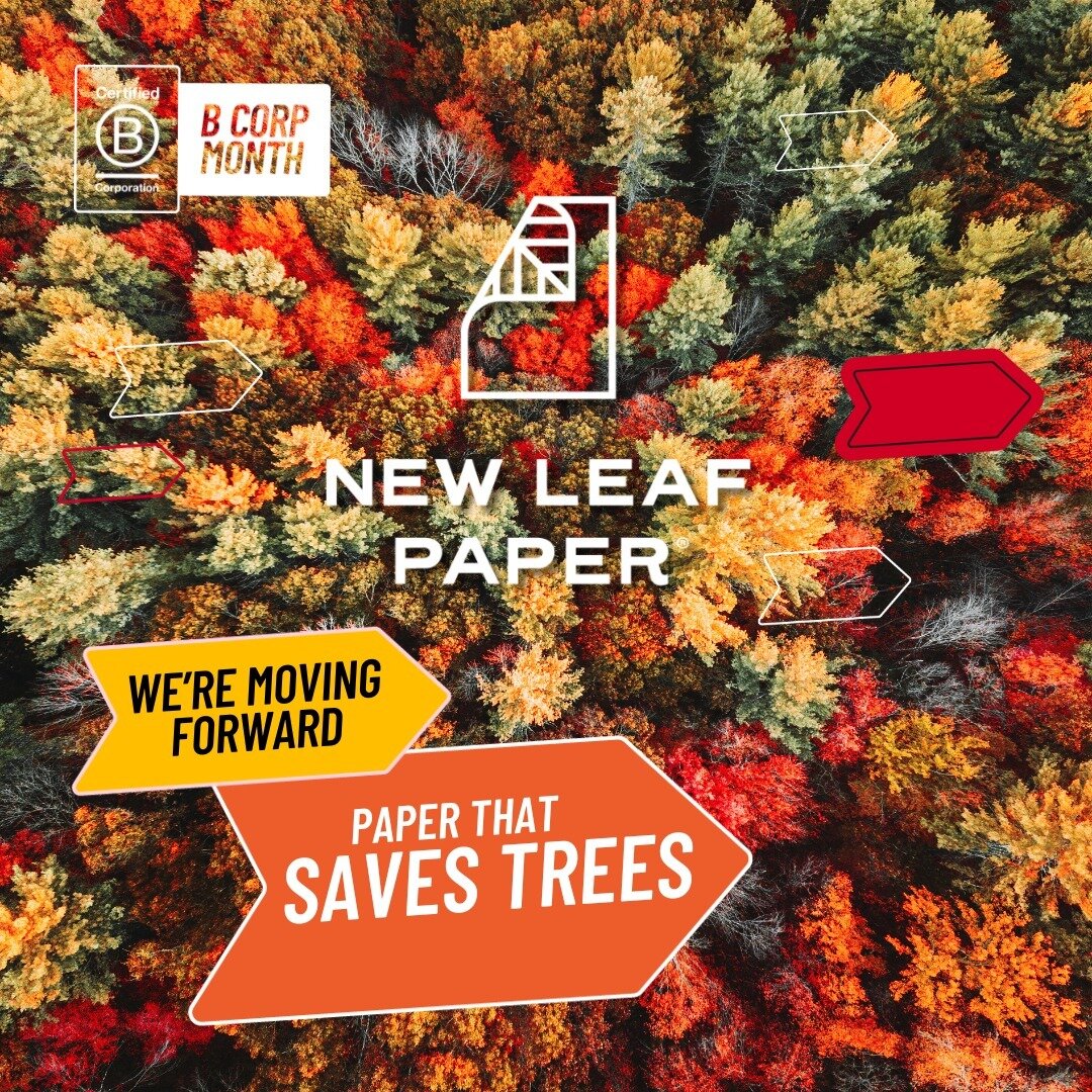 Happy International Day of Forests! The United Nations General Assembly proclaimed 21 March the International Day of Forests in 2012 to celebrate and raise awareness of the importance of all types of forests. ⁠
⁠
At New Leaf Paper, we use 100% post-c