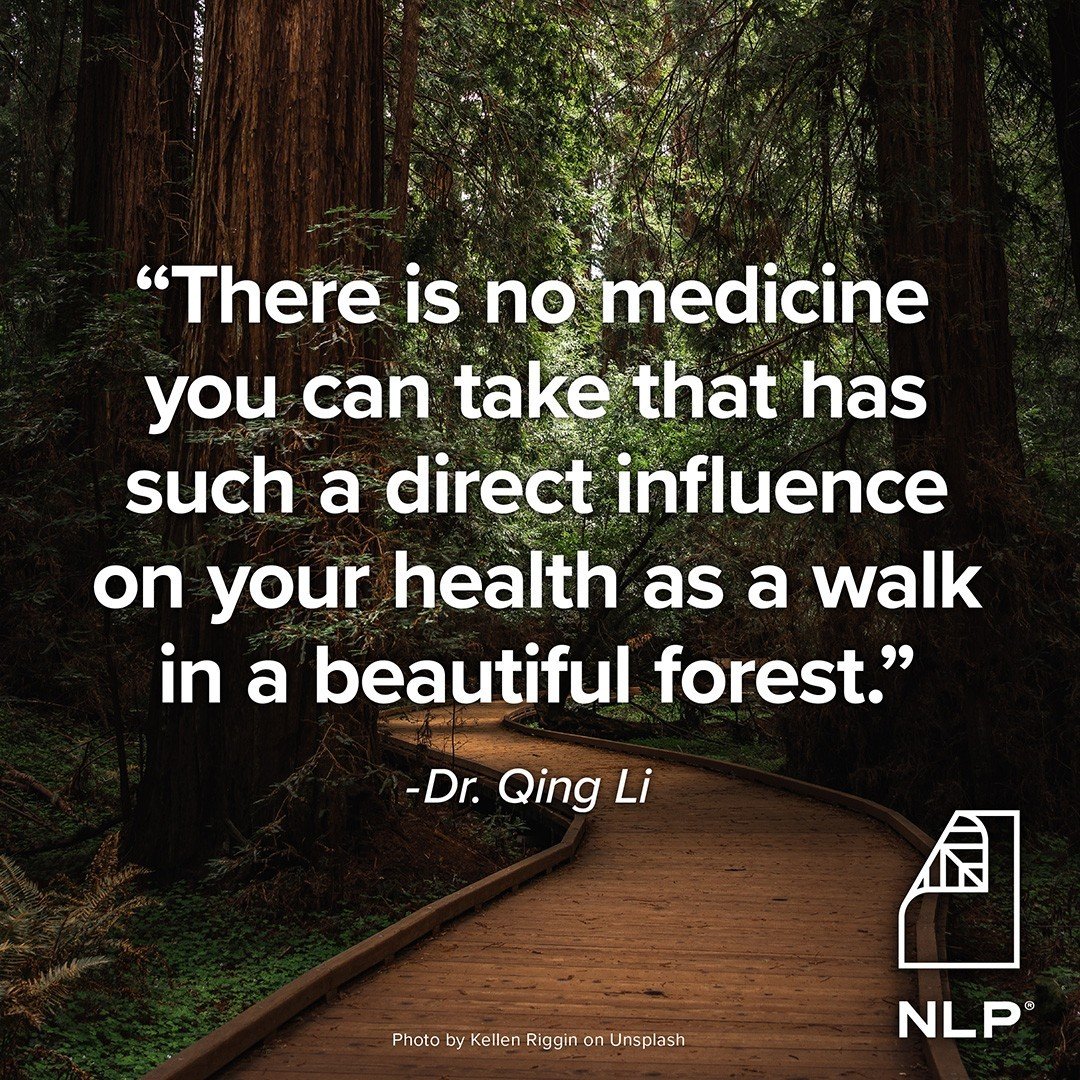 Happy Earth Month, take a break and go for a walk today!⁠
⁠
#newleafpaper #BCorp #sustainable #sustainability #sustainableliving #ecofriendly #ecoconscious #gogreen #ecofriendlyproducts #earthday #earthmonth #treelover #treelovers #wilderness #hiking