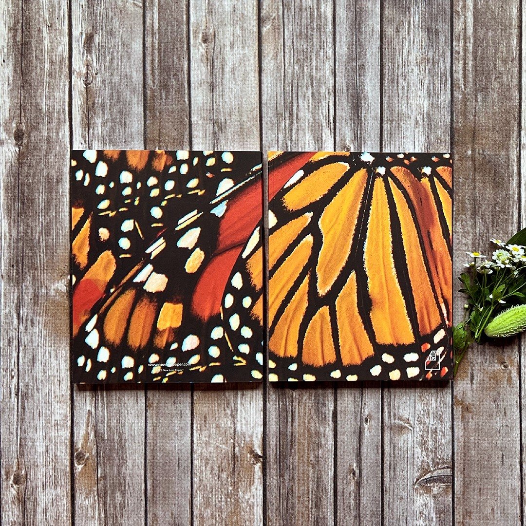 May 16 is Endangered Species Day, a global day of action to celebrate learn about, and take action to protect threatened and endangered species. Monarch Butterflies, shown here on our Photoreal Journal, is one of many species The Endangered Species C