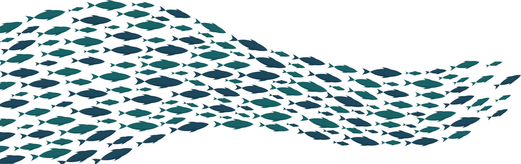 FishWave.png