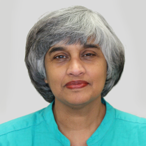 Our Team — Prism Economics and Analysis