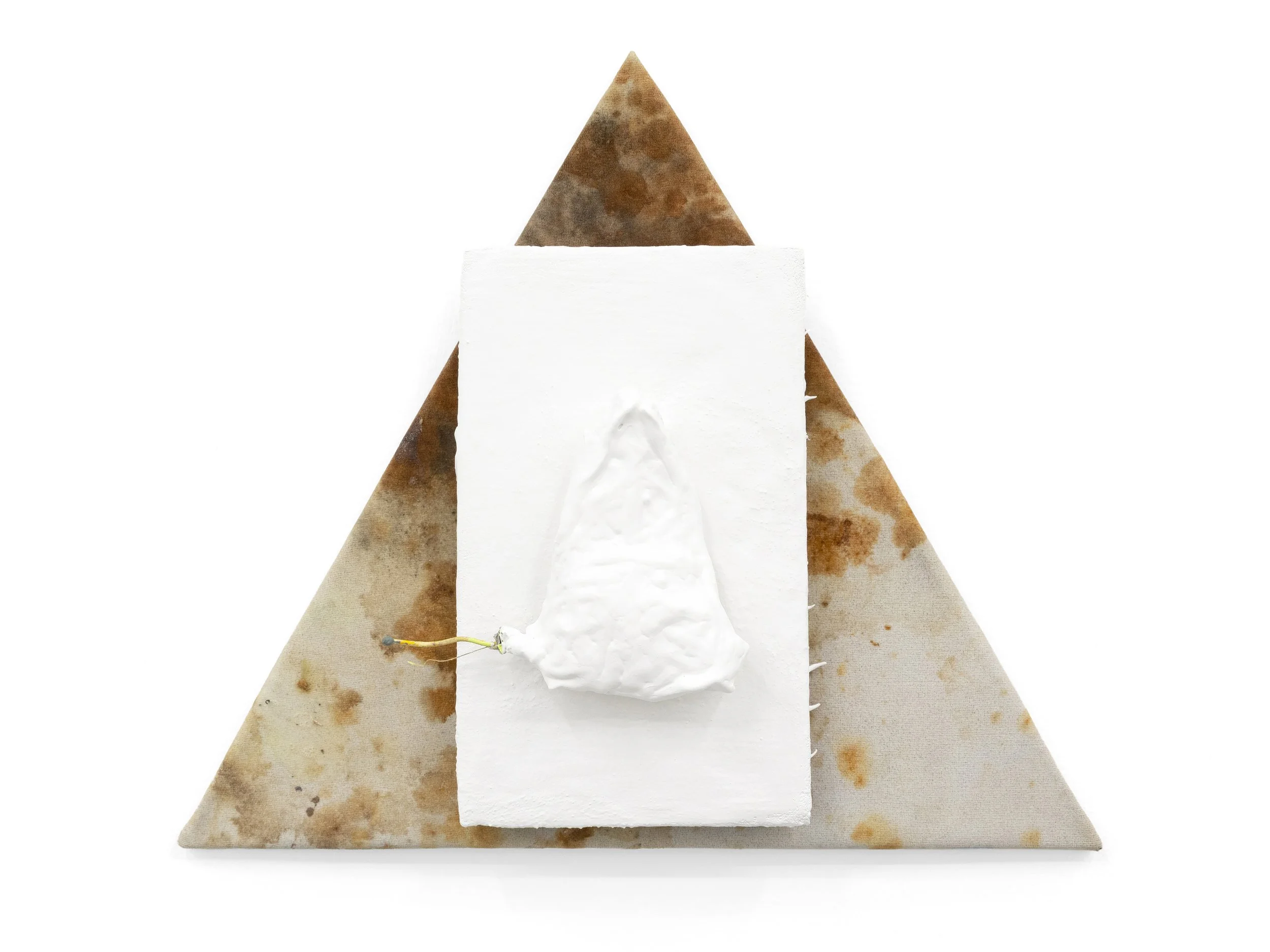    "With"   Rust, marking flag, collected plaster,&nbsp;  plastic bag, wire, floss, tape, metal,&nbsp;  enamel, stucco, rubber undercoating,&nbsp;  wood, leather, linen, glues, dirt,&nbsp;  gouache, other things.  Approx: 16.5"x17.5"x3.5"   