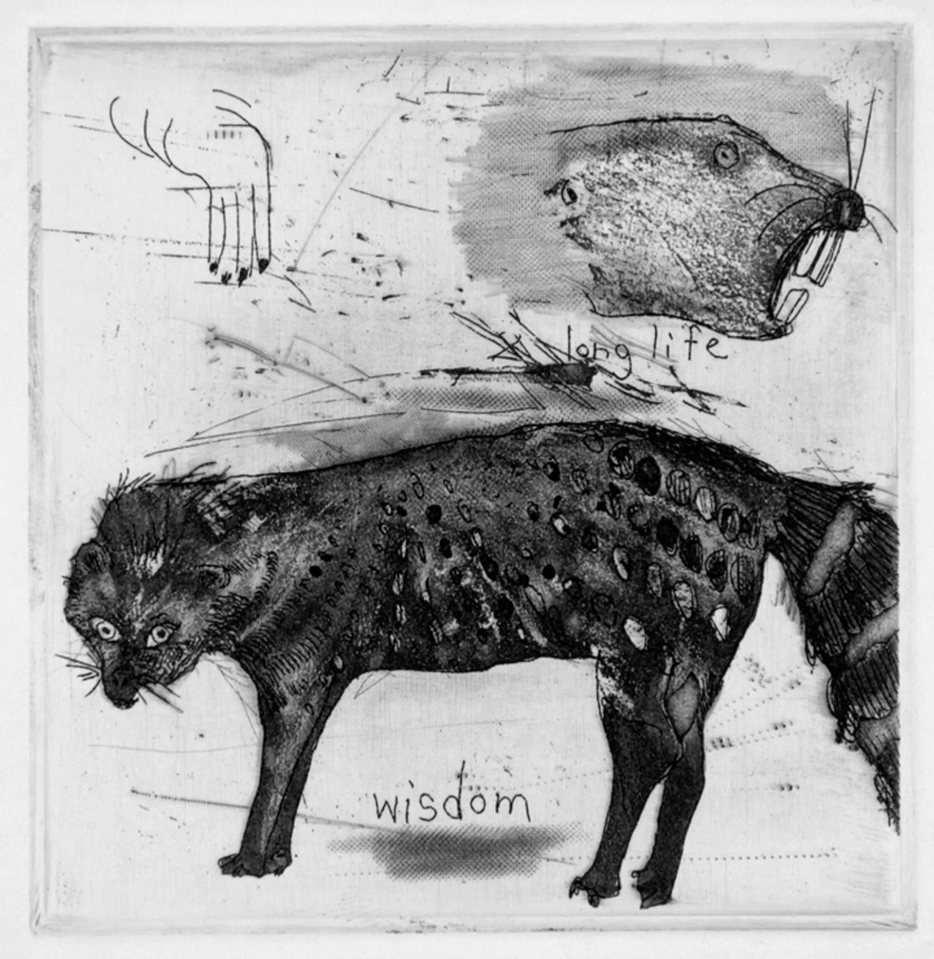 Wisdom. Etching. 3" x 3". (2000) Native Sioux lore says the weasel represents wisdom, and the beaver long life.