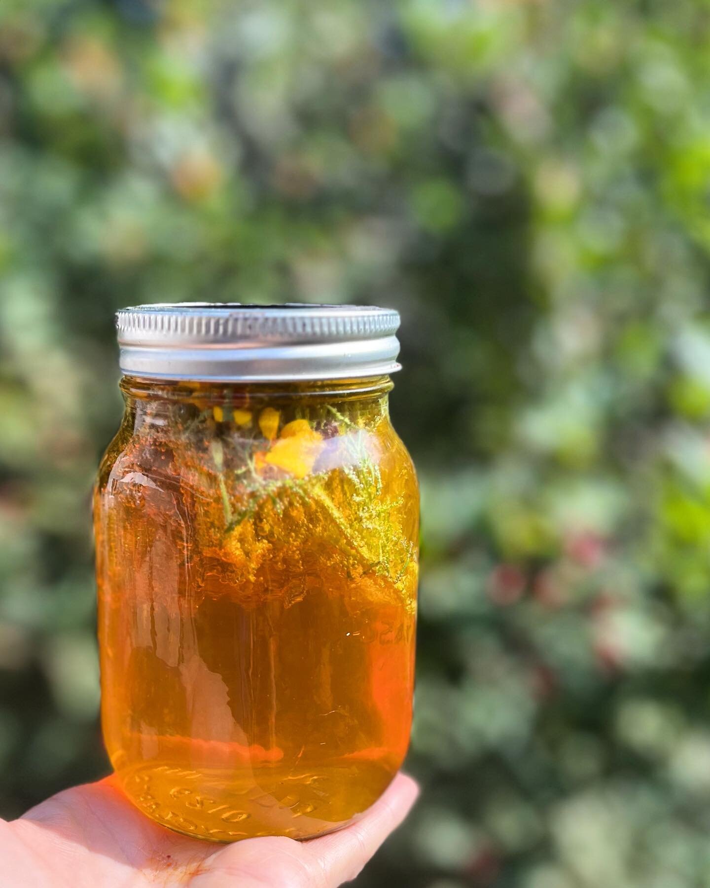 Second fermenting kombucha with edible flowers. Single ingredient or combined with fruits, it&rsquo;s a lovely way to enjoy your flowers. 

#edibleflowers #tangerinegem #marigold #kombucha #fermentation #floracocina #eatflowersbekind #flowersinfood