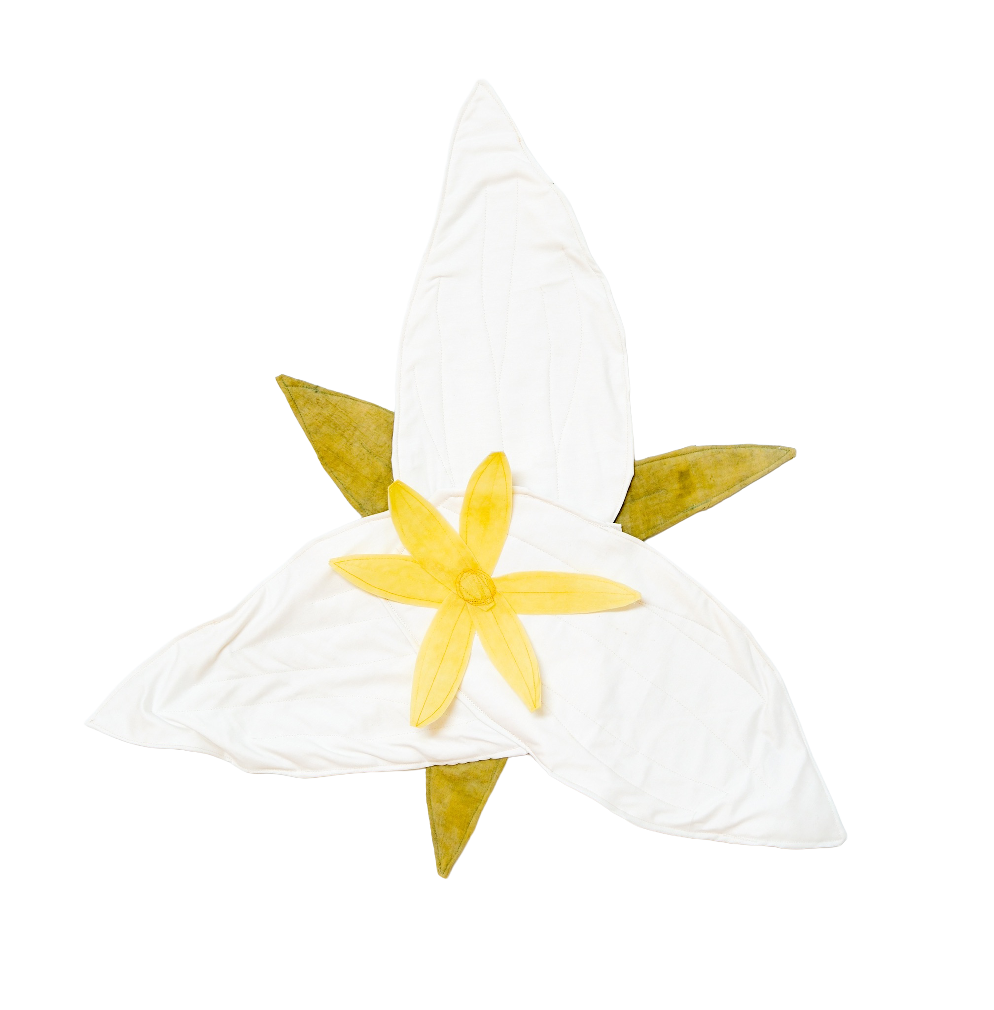 Flower 12.png